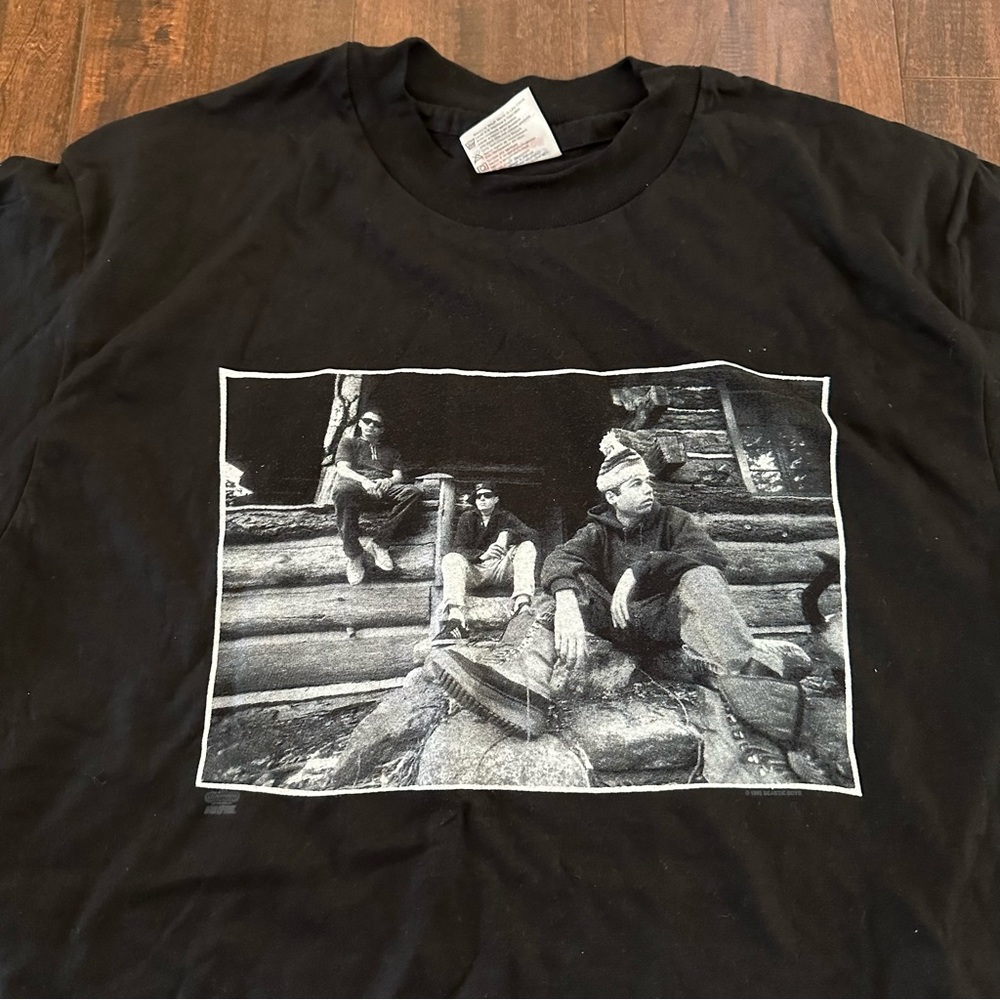 Beastie Boys Vintage 1992 Check Your Head T-Shirt Cabin Rap Glen Friedma…